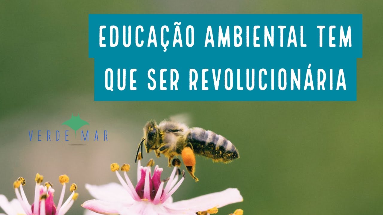 Educação Ambiental tem que ser Revolucionária
