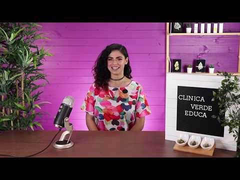 Sativa - Indica - Híbridas ¿Cuál es la diferencia?