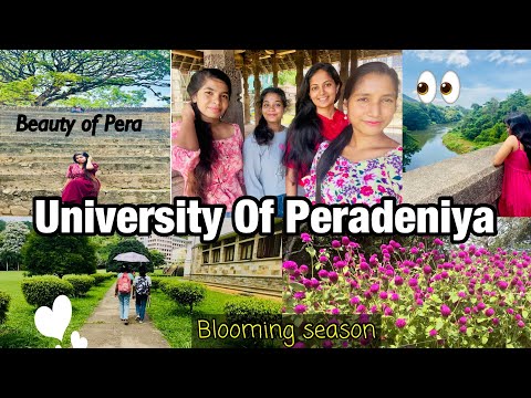 University of Peradeniya | පේරාදෙණිය Campus එක වටේ රවුමක් යමුද ?Pera Girls Hostel | Blooming season