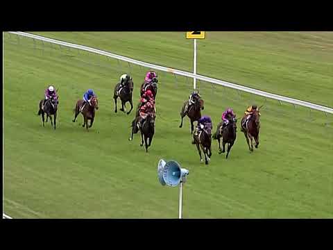 Race Replay: Otaki Race 4 - 23 February