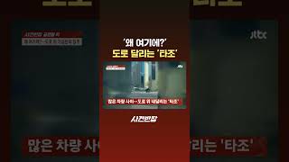 '왜 여기에?' 도로 달리는 '타조' #JTBC #Shorts