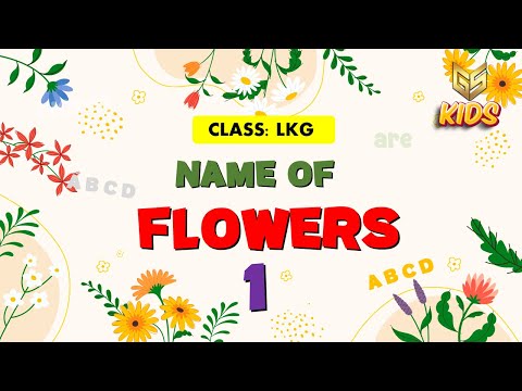 Flowers - 1- LKG - EVS - Gyansrota Kids