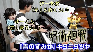 【年の差兄弟】ゆーくん(弟1歳)と『青のすみか』/キタニタツヤ/Piano/ぴーあおチャンネル