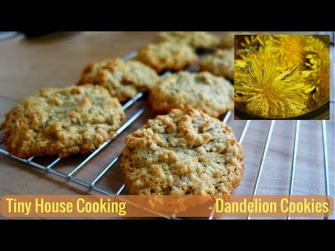 download lagu mp3 mp4 Dandelion Cookies, download lagu Dandelion Cookies gratis, unduh video klip Dandelion Cookies