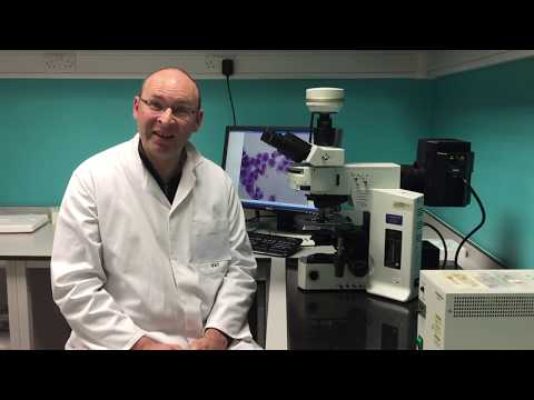 Attacking Lung Cancer with an Electric Pulse and Immune Combo