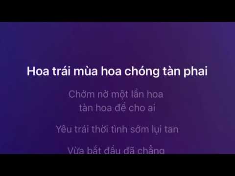 Hẹn em kiếp sau | Karaoke tone nữ thấp dễ hát