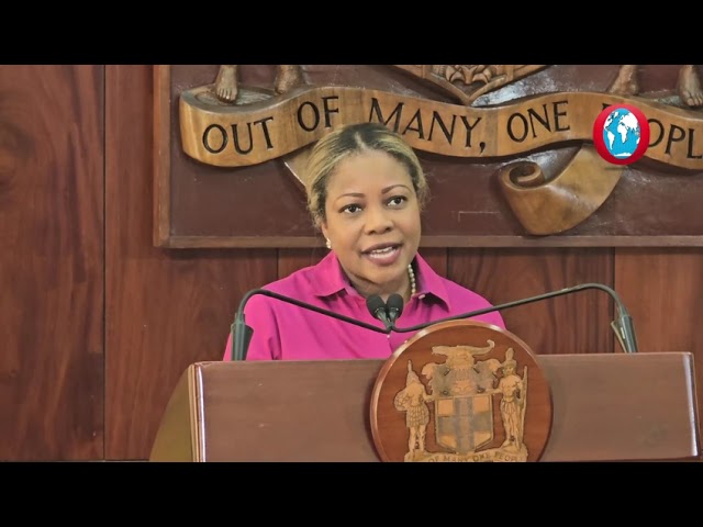 WATCH: Christmas parties for government entities cancelled—Morris Dixon