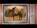 Silent Movie for kids - Funny Horse (Buster Keaton)