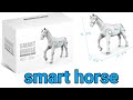 Smart Horse II Mechanical Horse II Unboxing Test