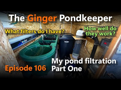 Episode 106: My Pond Filtration: Part One | What filters I have and how well they work