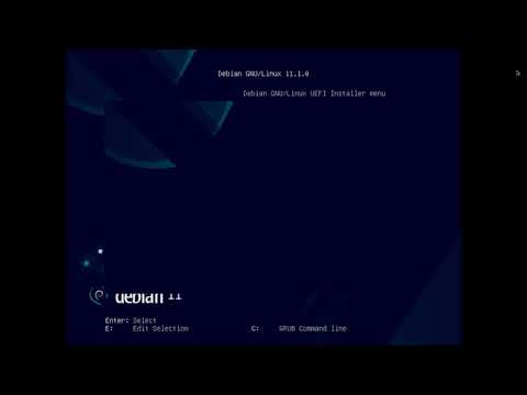 (Quick) Debian netinstall (Ncurses installer)