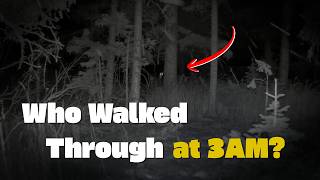 Trail Cam Caught Unexpected Visitors at 3AM
