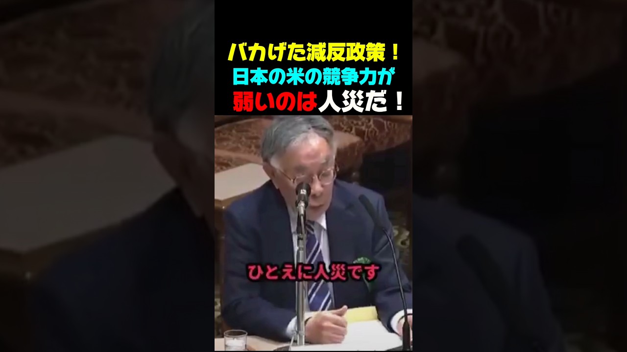 【米問題は人災だ！】肥沃な土地と真面目な国民性でなぜ日本の米の競争力が弱いのか？#米不足 #政治 #政治ニュース #政治問題 #ニュース速報 #最新ニュース #最新情報 #米農家 #補助金 #減反