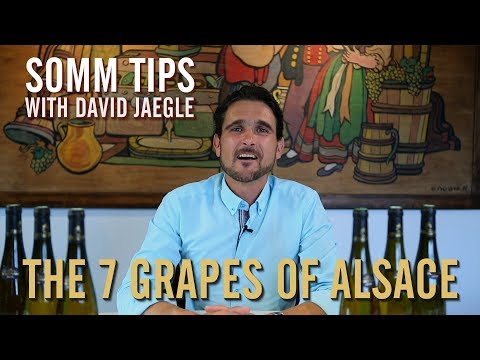 The 7 Grapes of Alsace - Somm Tips with David Jaegle