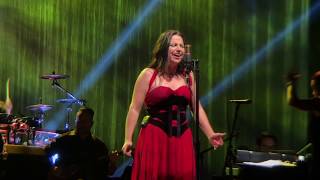 Evanescence Live Revention Center Houston 2017