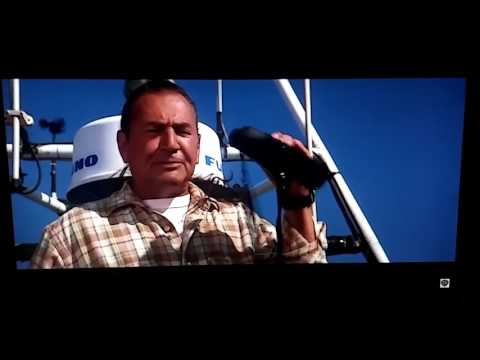 Free Willy 2 The Adventure Home