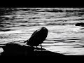 Mun Paniya Bgm Tamil Whatsapp Status Hd
