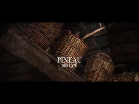 Communication COGNAC VALLEIN-TERCINIER, adhérent CityJazzy Le Club.