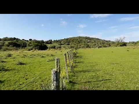 Video de YouTube - Chacra - Aiguá