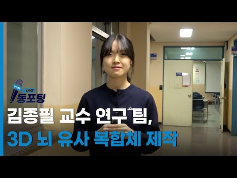 [동포팅] 김종필 교수 연구 팀,  3D 뇌 유사 복합체 제작