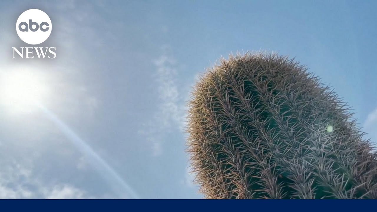 Record-shattering heat hits the globe | WNT