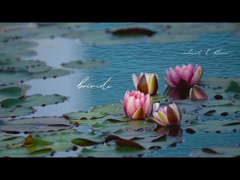 Mahmood & Blanco - Brividi (Orchestra/Re-Imagined Version) (Italy Eurovision 2022) (Lyric Video)