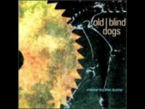 Old Blind Dogs-MacPherson's Rant(Live).wmv