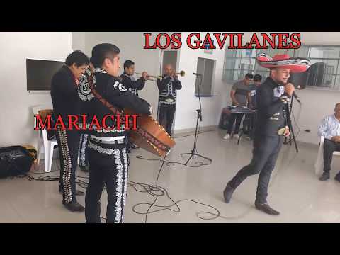 MARIACHI LOS GAVILANES LAMBAYEQUE -PERU (CUMBIAS)