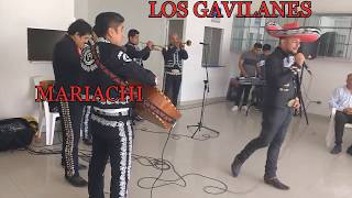 MARIACHI LOS GAVILANES LAMBAYEQUE -PERU (CUMBIAS)