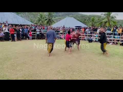 Tinju Adat Nataia Boanio,,Partai kelas berat,,Nexd Penginanga VS DELON Maumere,,