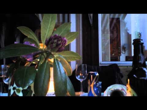 Sydvesten sommer avsl. Hvor såre lite.wmv