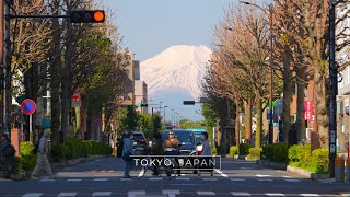 Download lagu CAJ - Equipping Students to Thrive mp3 Download lagu CAJ - Equipping Students to Thrive mp3