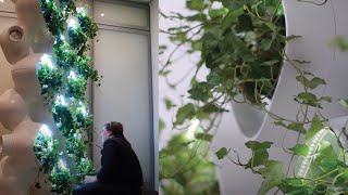 Pure Inhale Connecticut – Project Video