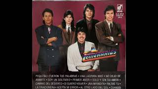 Los Temerarios - Soy un solitario (audio HQ HD)