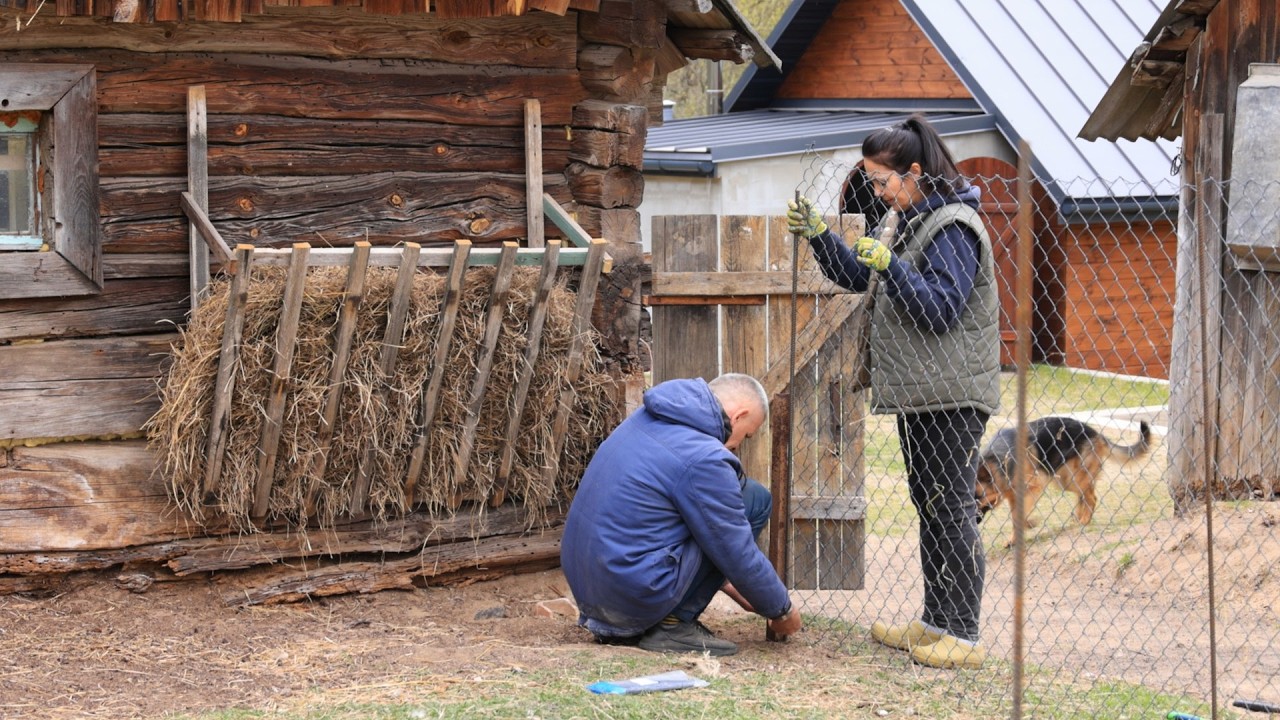 Life of a married couple in the village🐑🐓🐕‍🦺 Fried pies and everyday chores