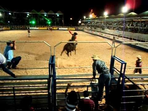 Geraldo Luiz X veneno J.N.AVI