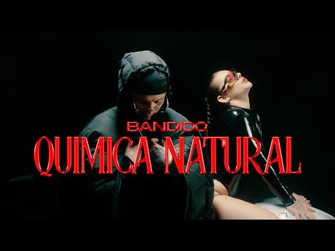 Miniatura de QUIMICA NATURAL