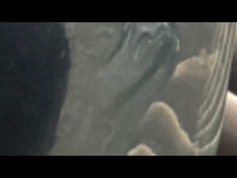 Lorenzo Sun Feat. Drake: Fire Starters Kit