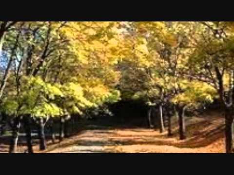 Je suivrai mon Seigneur et mon maître(Exo)