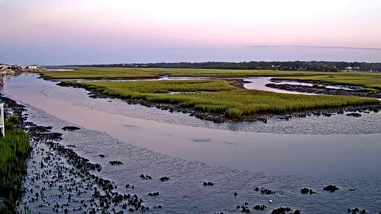 Live webcam view of Jinks Creek desde el Tiki Deck
