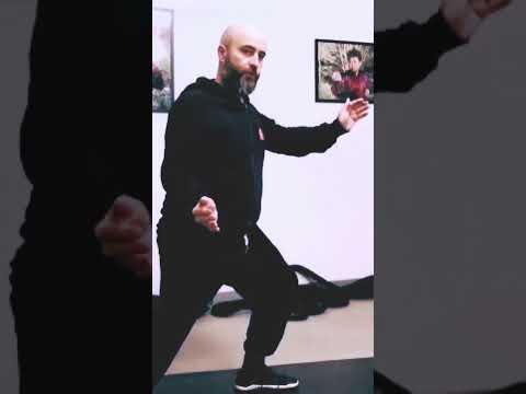 Chen Taijiquan yilu excerpt