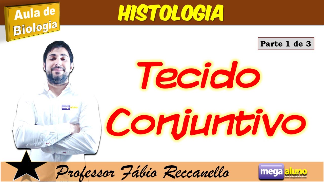 Tecido Conjuntivo frouxo, denso e adiposo - Destrinchando a histologia