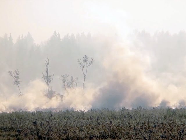 Горит и под снегом