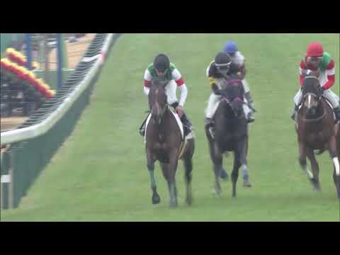 Moon Tears (JPN) wins race 5 at Nakayama 12/5/2020