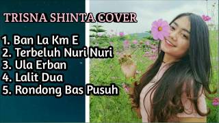 Download lagu FULL Lagu Karo  COVER - TRISNA SHINTA mp3