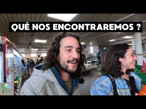 Nos preparamos para hacer un VOLUNTARIADO [Sierras de ROCHA] | EP6 - Sudamérica en camper [Uruguay]