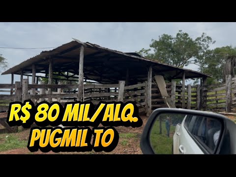 Fazenda a venda no Tocantins em Pugmil TO 