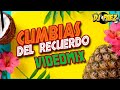 Cumbias del Recuerdo (Pastor López, Aniceto Molina, Lizandro Meza, Sonora Dinamita, Margarita)
