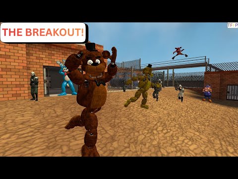 THE BREAKOUT (TFFP)