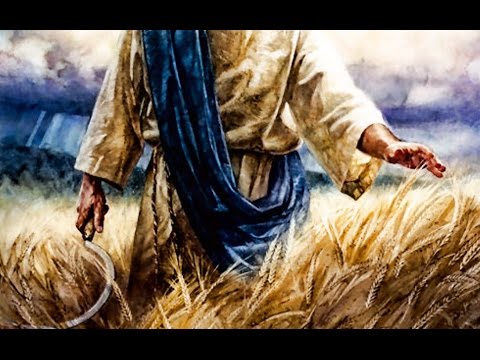 Revelation 14: The Harvest of the World (Pastor Allan Jellett)
